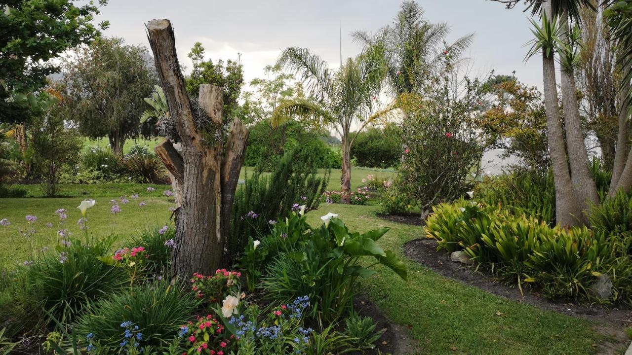 Tsitsikamma Gardens Self-Catering Cottages - Cottage #2 Sanddrif المظهر الخارجي الصورة