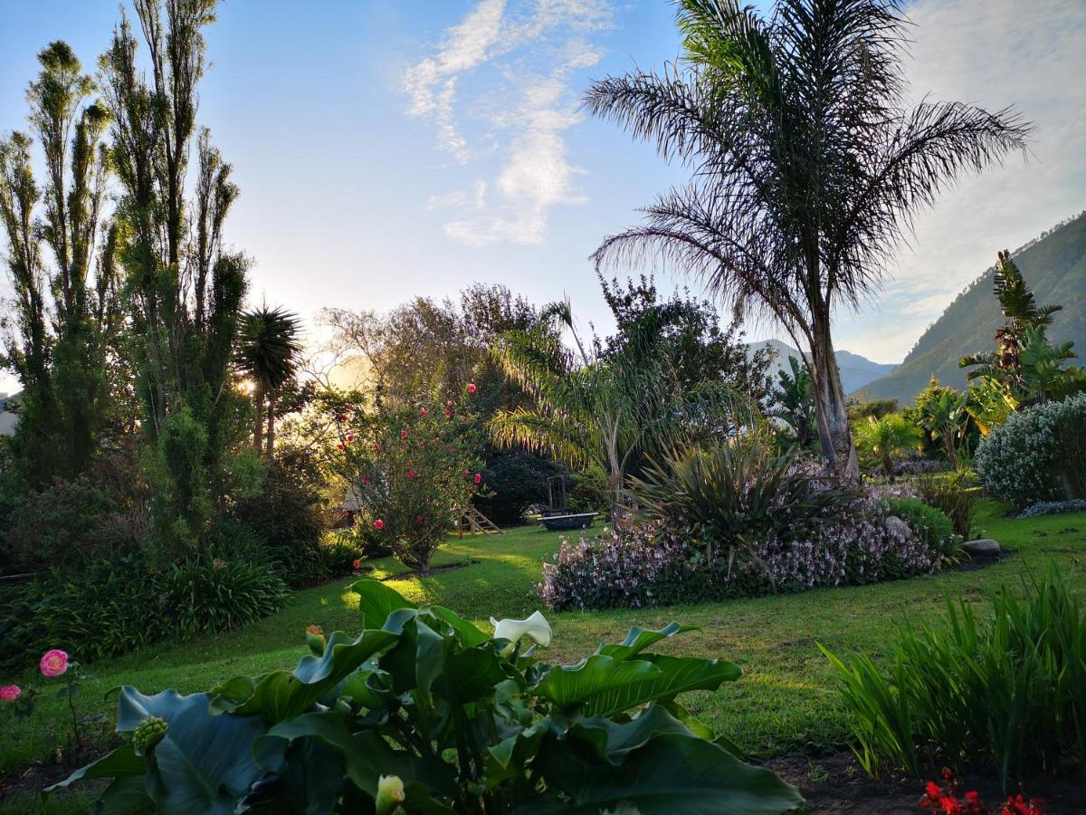 Tsitsikamma Gardens Self-Catering Cottages - Cottage #2 Sanddrif المظهر الخارجي الصورة