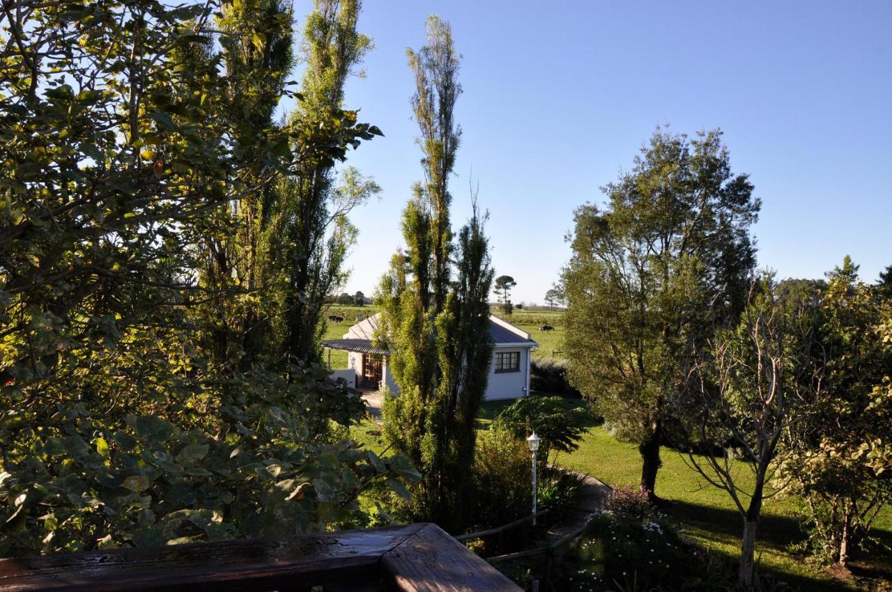 Tsitsikamma Gardens Self-Catering Cottages - Cottage #2 Sanddrif المظهر الخارجي الصورة